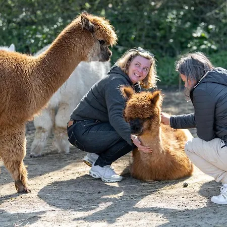 Les Carolins - 4 étoiles 3* Saint-Lo-d'Ourville