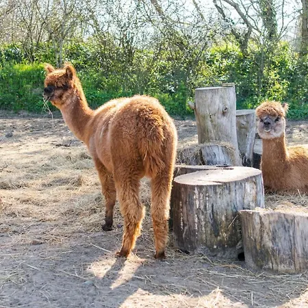 Les Carolins - 4 Etoiles 3* Saint-Lo-d'Ourville