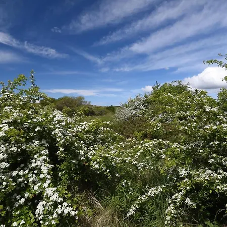 Les Carolins - 4 étoiles Campeggio