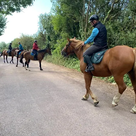 Les Carolins - 4 étoiles Campeggio 3*