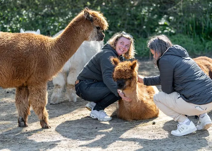 Les Carolins - 4 Etoiles 3* Saint-Lo-d'Ourville