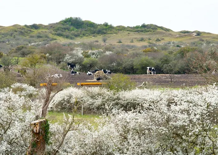 Les Carolins - 4 Etoiles