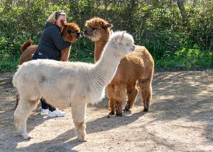 Les Carolins - 4 Etoiles Campingplatz 3*