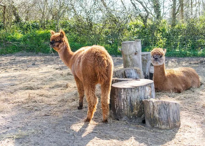 Les Carolins - 4 Etoiles 3* Saint-Lo-d'Ourville