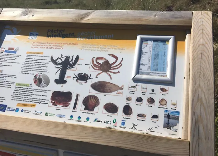 Les Carolins - 4 Etoiles Saint-Lo-d'Ourville