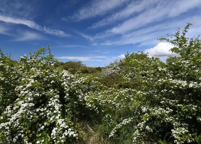 Les Carolins - 4 Etoiles Campingplatz