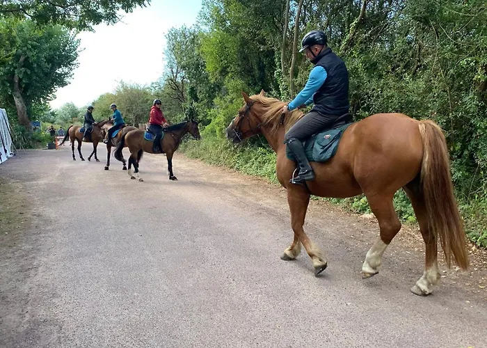 Les Carolins - 4 Etoiles אתר קמפינג 3*